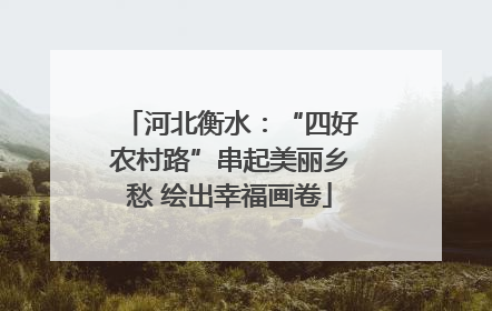 河北衡水：“四好农村路”串起美丽乡愁 绘出幸福画卷