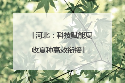 河北：科技赋能夏收夏种高效衔接