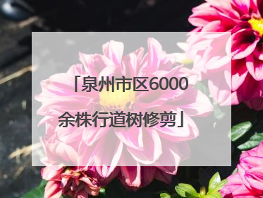 泉州市区6000余株行道树修剪
