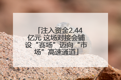 注入资金2.44亿元 这场对接会铺设“赛场”迈向“市场”高速通道