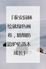 泰安园林绘就绿色画卷，精细防治护佑苗木成长