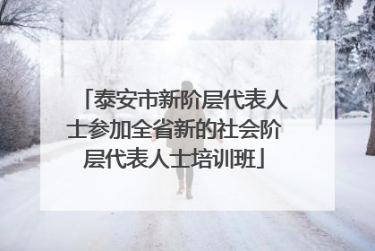 泰安市新阶层代表人士参加全省新的社会阶层代表人士培训班