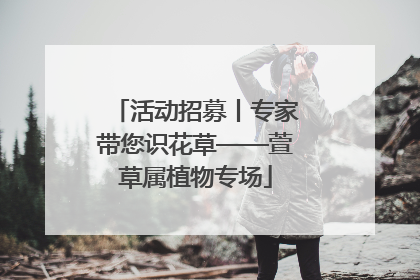 活动招募丨专家带您识花草——萱草属植物专场