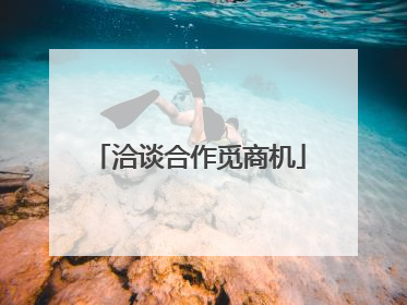洽谈合作觅商机