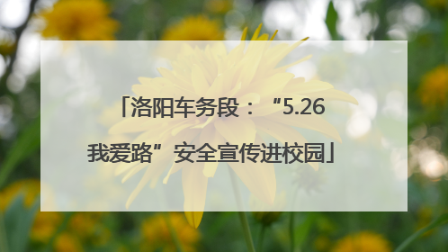 洛阳车务段：“5.26我爱路”安全宣传进校园