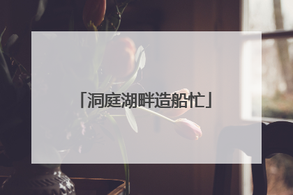 洞庭湖畔造船忙
