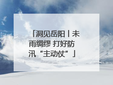 洞见岳阳丨未雨绸缪 打好防汛“主动仗”