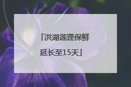 洪湖莲蓬保鲜延长至15天