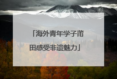 海外青年学子莆田感受非遗魅力