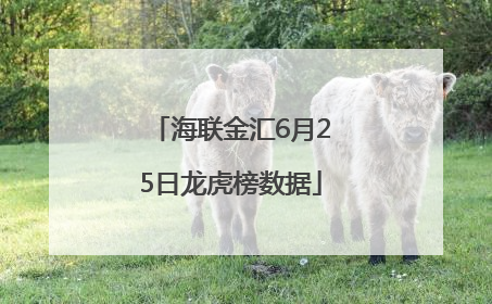 海联金汇6月25日龙虎榜数据