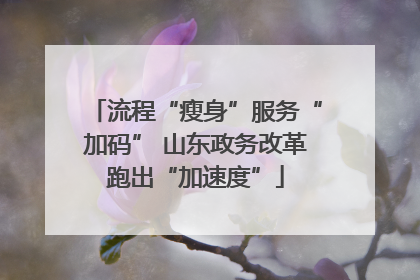 流程“瘦身”服务“加码” 山东政务改革跑出“加速度”