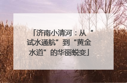济南小清河：从“试水通航”到“黄金水道”的华丽蜕变