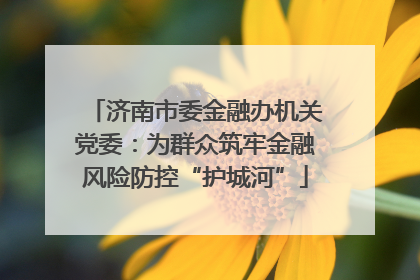 济南市委金融办机关党委：为群众筑牢金融风险防控“护城河”
