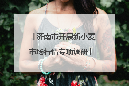 济南市开展新小麦市场行情专项调研