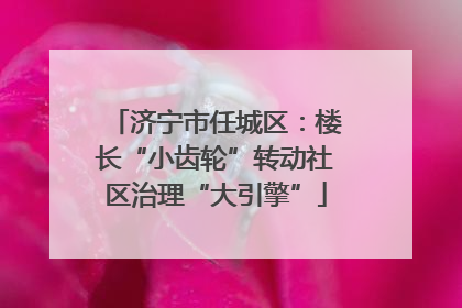 济宁市任城区：楼长“小齿轮”转动社区治理“大引擎”