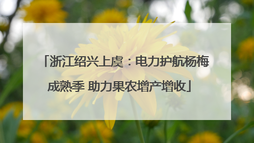 浙江绍兴上虞：电力护航杨梅成熟季 助力果农增产增收