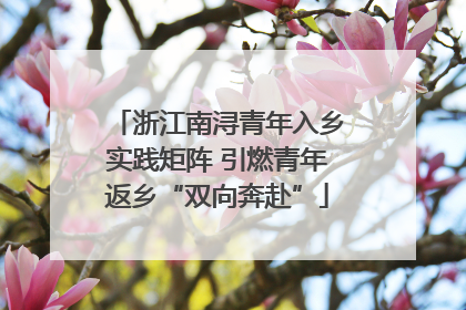 浙江南浔青年入乡实践矩阵 引燃青年返乡“双向奔赴”