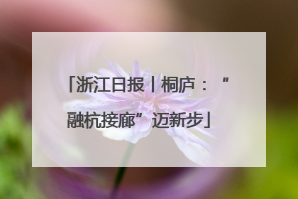 浙江日报丨桐庐：“融杭接廊”迈新步