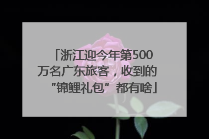 浙江迎今年第500万名广东旅客，收到的“锦鲤礼包”都有啥