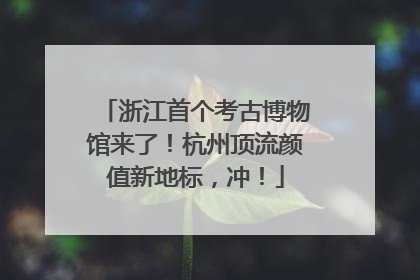 浙江首个考古博物馆来了！杭州顶流颜值新地标，冲！