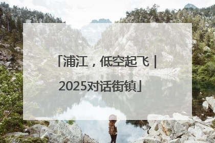 浦江，低空起飞｜2025对话街镇