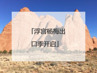 浮宫杨梅出口季开启