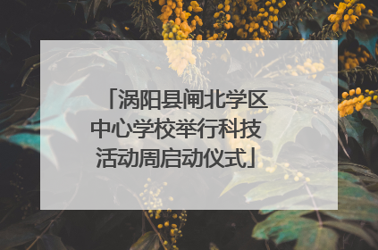 涡阳县闸北学区中心学校举行科技活动周启动仪式