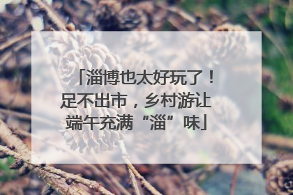 淄博也太好玩了！足不出市，乡村游让端午充满“淄”味
