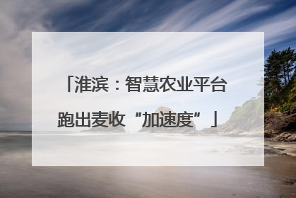 淮滨：智慧农业平台跑出麦收“加速度”
