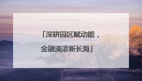 深耕园区赋动能，金融滴灌新长海