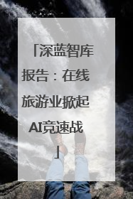深蓝智库报告：在线旅游业掀起AI竞速战