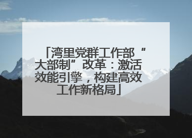 湾里党群工作部“大部制”改革：激活效能引擎，构建高效工作新格局