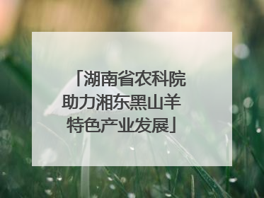 湖南省农科院助力湘东黑山羊特色产业发展
