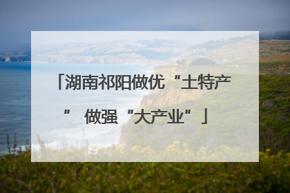 湖南祁阳做优“土特产” 做强“大产业”