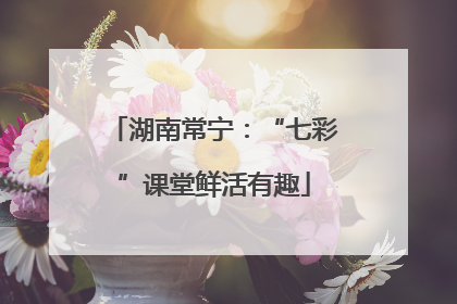 湖南常宁：“七彩”课堂鲜活有趣