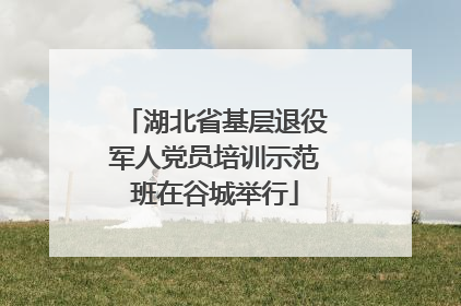 湖北省基层退役军人党员培训示范班在谷城举行