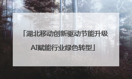 湖北移动创新驱动节能升级 AI赋能行业绿色转型