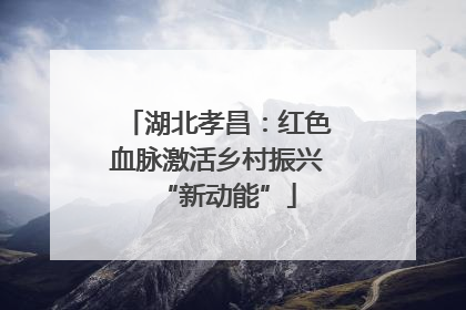 湖北孝昌：红色血脉激活乡村振兴“新动能”