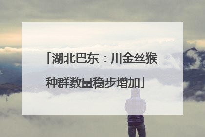 湖北巴东：川金丝猴种群数量稳步增加