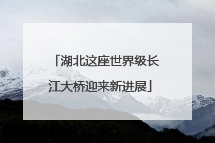 湖北这座世界级长江大桥迎来新进展