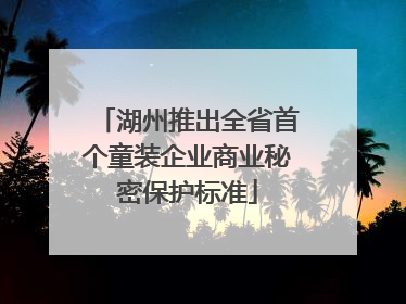 湖州推出全省首个童装企业商业秘密保护标准