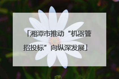 湘潭市推动“机器管招投标”向纵深发展
