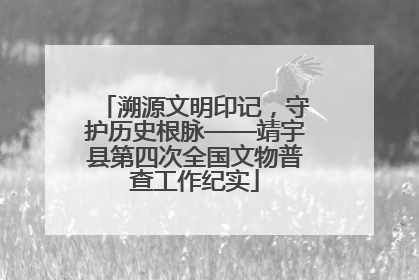 溯源文明印记，守护历史根脉——靖宇县第四次全国文物普查工作纪实