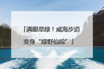 满眼翠绿！威海步道变身“绿野仙踪”