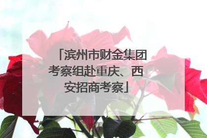 滨州市财金集团考察组赴重庆、西安招商考察