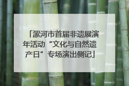 漯河市首届非遗展演年活动“文化与自然遗产日”专场演出侧记
