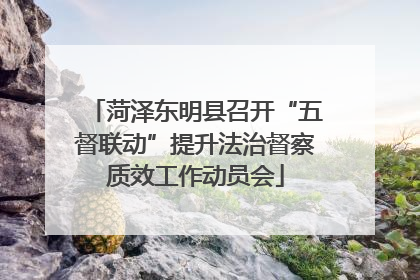 菏泽东明县召开“五督联动”提升法治督察质效工作动员会