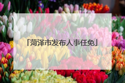 菏泽市发布人事任免