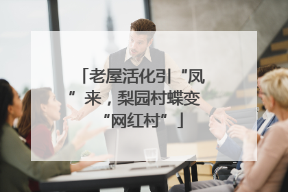 老屋活化引“凤”来，梨园村蝶变“网红村”