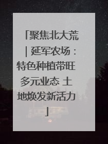 聚焦北大荒｜延军农场：特色种植带旺多元业态 土地焕发新活力